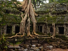 Siem Reap