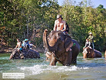 Elephant Riding