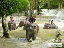 Elephant Riding