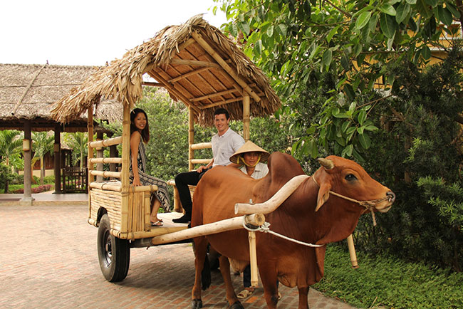 Emeralda Resort Ninh Binh