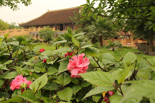 Emeralda Resort Ninh Binh