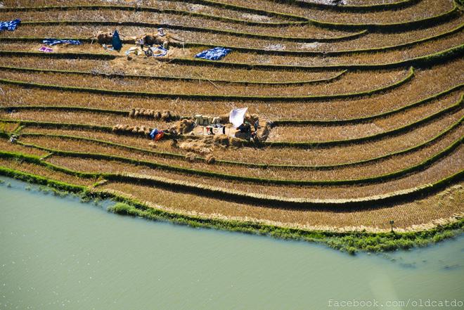 Sa Pa terraced fields