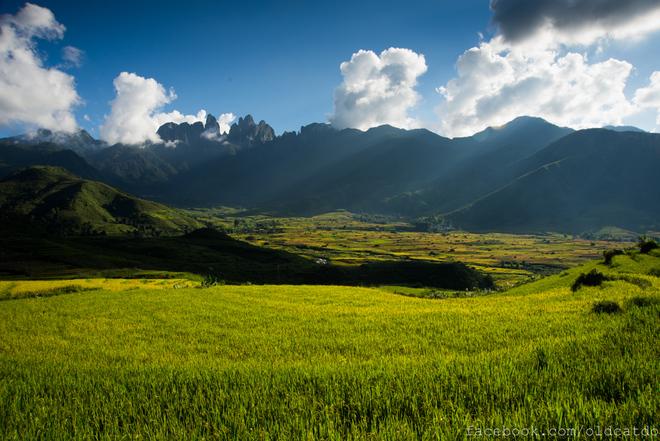 Sa Pa terraced fields