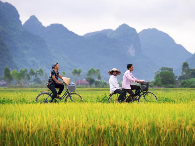Bicycles are still a common form of transport out of the cities.