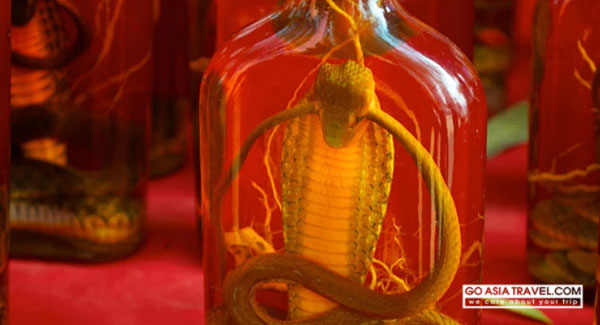 Snake Wine - Top 10 Things to Do in Vietnam