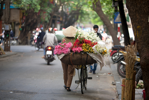 Hanoi Street vendor
