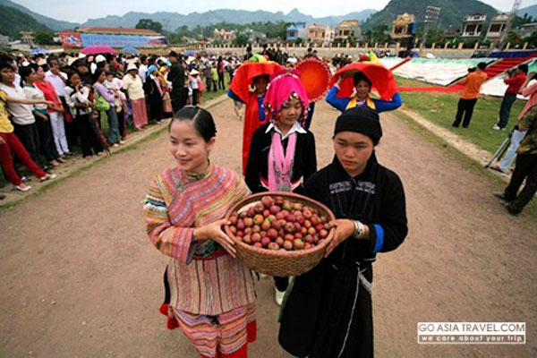 Ripe for the picking: The annual Bac Ha Plum Festival attracts a number of tourists.— VNA/VNS Photo Phuong Hoa