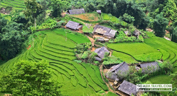 Sapa Terraces Field - Top 10 Things to Do in Vietnam
