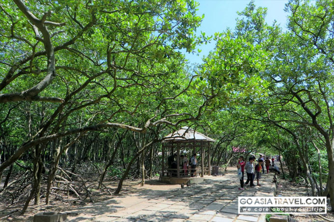 Can Gio Biosphere Reserve