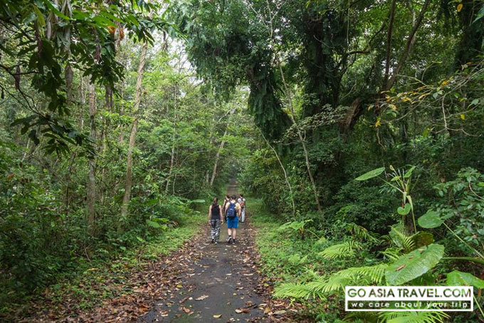 Cat Ba national park