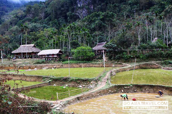 Pu Luong national park