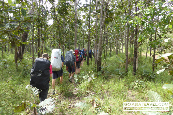 yok Don national park