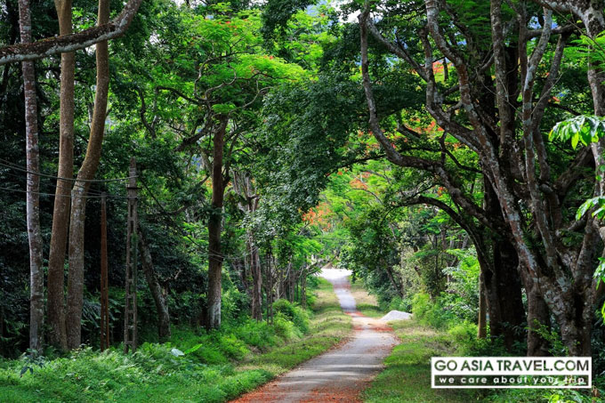 Cuc Phuong national park