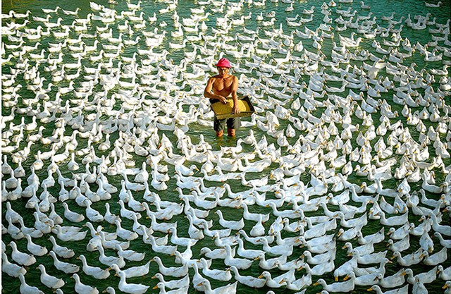 "Breakfasts" by Chau Ngoc Quy