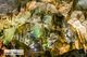 Picture of Phong Nha Cave 1 day tour from Hue