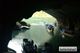 Picture of Phong Nha Cave 1 day tour from Hue