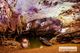 Picture of Phong Nha Cave 1 day tour from Hue