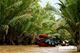 Picture of Mekong Delta 1 day tour (My Tho Ben Tre)