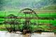Picture of Hanoi Mai Chau Pu Luong National Reserve Tour