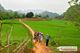 Picture of Hanoi Mai Chau Pu Luong National Reserve Tour