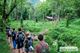 Picture of Hanoi - Cuc Phuong National Park - Tam Coc Cave