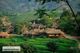 Picture of Mai Chau Ecolodge 2 days 1 night Tour