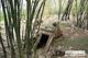 Picture of Hue DMZ tour Vinh Moc Tunnel, Khe Sanh Combat Base