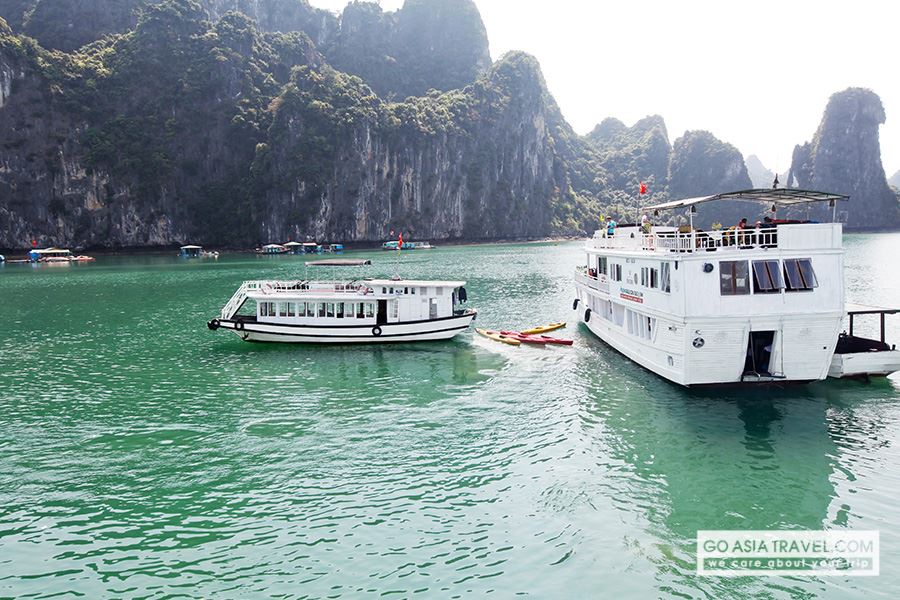 Picture of Alova Gold Cruises - stop running from Oct 1st, 2016