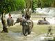 Picture of 19 days of Vietnam, Cambodia and Laos Tours
