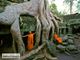 Picture of 17 Day Vietnam & Cambodia Tour