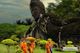 Picture of Vientiane - Buddha Park & That Luang Stupa