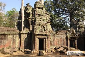 Picture of Siem Reap - Banteay Srei Temple & Ta Prohm Temple
