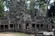 Picture of Siem Reap - Banteay Srei Temple & Ta Prohm Temple