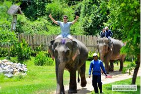 Picture of Luang Prabang – Elephant Riding & Trail of Falls