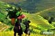 Picture of Charity Tour in Remote Ha Giang Province