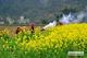 Picture of Charity Tour in Remote Ha Giang Province