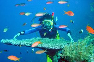 Picture of Nha Trang