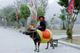 Picture of Hoa Lu Tam Coc 1 Day - Group tour