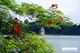Picture of Ho Chi Minh City and Hanoi 9 days 8 nights by flight