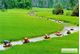 Picture of Ho Chi Minh City and Hanoi 9 days 8 nights by flight