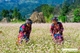 Picture of 5 Days Dong Van - Ha Giang Adventure tour