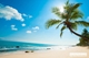 Picture of Phu Quoc Snorkeling full day