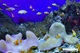 Picture of Nha Trang City: Full-Day Sightseeing Tour