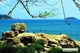 Picture of Nha Trang City: Full-Day Sightseeing Tour