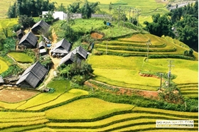 Picture for category Sapa Tours