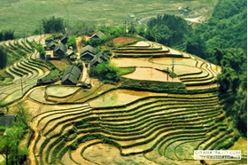 Picture of Sapa by bus 3 days - 2 nights (1 night in Ta Van village, 1 night in hotel) GS5