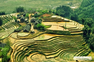 Picture of Sapa by bus 3 days - 2 nights (1 night in Ta Van village, 1 night in hotel) GS5