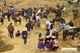 Picture of Sapa by bus 3 days - 2 nights Bac Ha Market (2 nights in hotel - Depart on Friday, Saturday) GS6