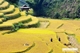 Picture of Truly Vietnam from North, Central to the South in 14 Days 13 Nights