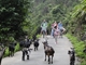 Picture of Gray Line Halong Cruise